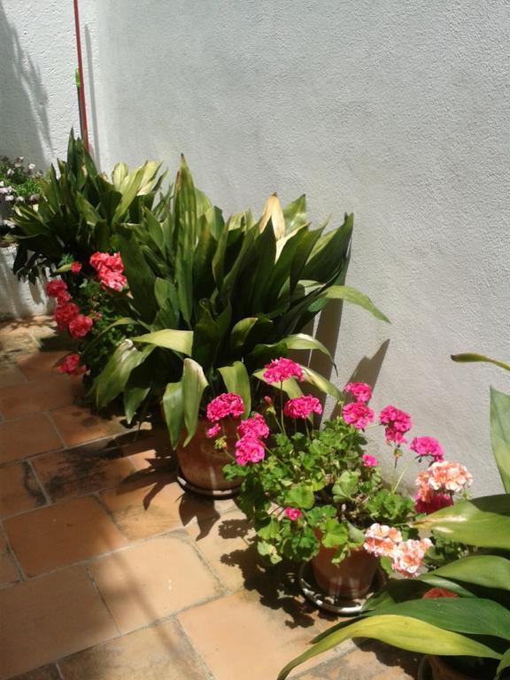 ホテル La Casita Del Corralon グラナダ 部屋 写真