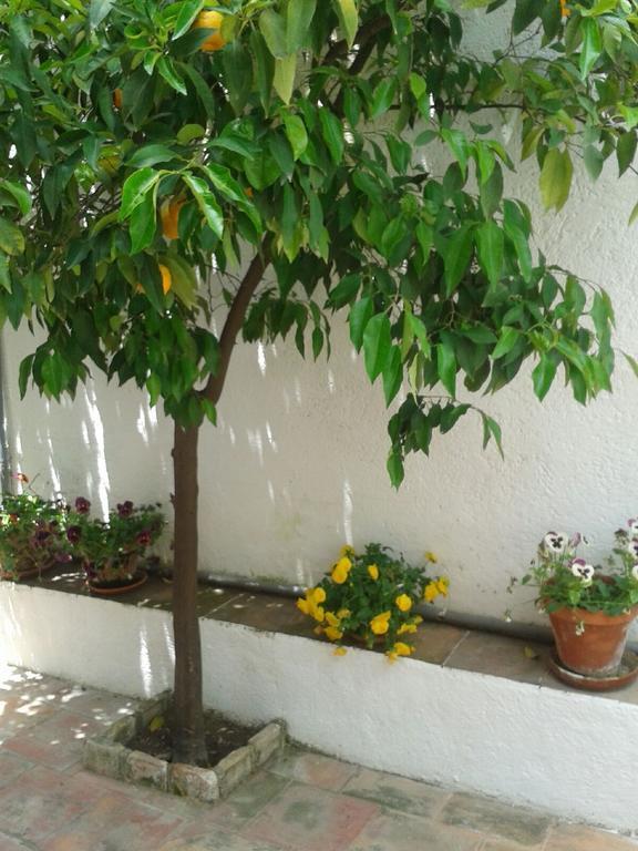 ホテル La Casita Del Corralon グラナダ 部屋 写真